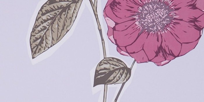 1000x1000 Poppy Hand Screen Printed Floral Wallpaper Viola