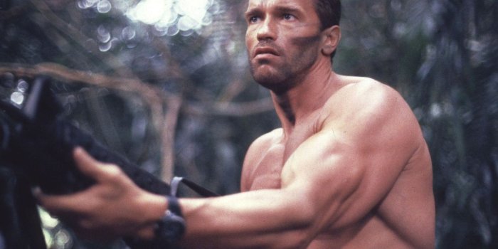 1280x800 Arnold Schwarzenegger Predator wallpaper | 1280x800 | #28292