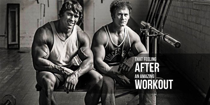 1920x1200 69+ Arnold Schwarzenegger Wallpapers on WallpaperPlay