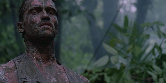 1332x850 Wallpaper cinema, The Beast, soldier, Predator, jungle, man, movie