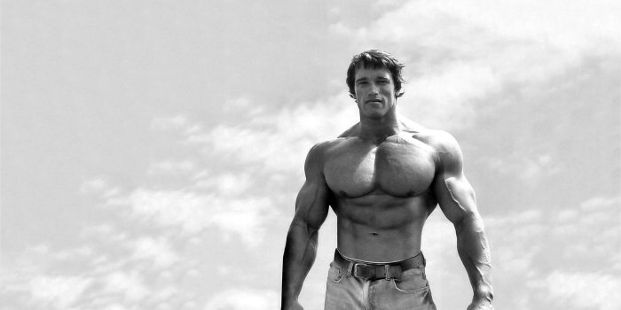 1920x1200 Arnold schwarzenegger #7036173