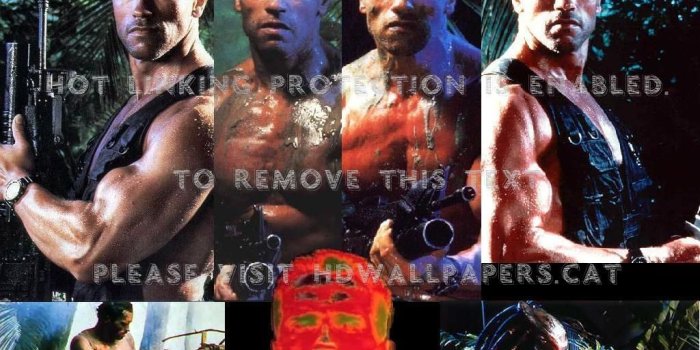 1024x768 the predator infra arnold schwarzenegger