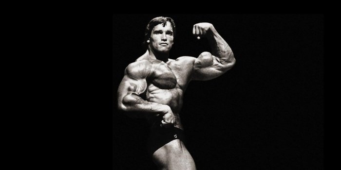 1920x1200 69+ Arnold Schwarzenegger Wallpapers on WallpaperPlay