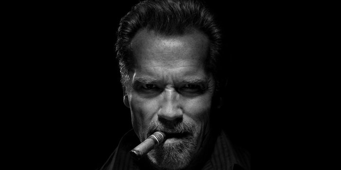 1920x1080 Arnold Schwarzenegger Wallpaper - Wallpapers Browse