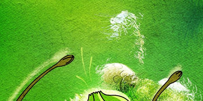 1242x2208 71+ Bulbasaur Wallpapers on WallpaperPlay