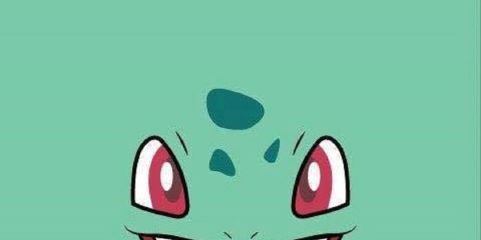 1080x1920 71+ Bulbasaur Wallpapers on WallpaperPlay