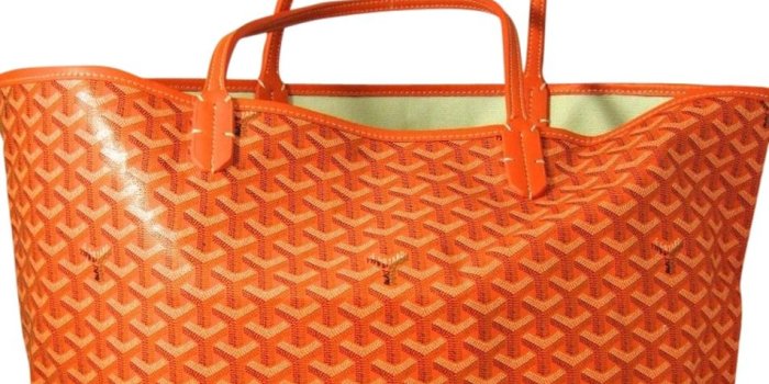 954x960 Goyard Bags Images | MIT Hillel