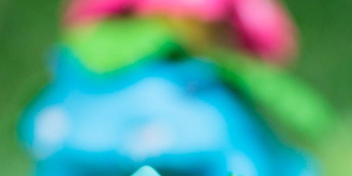 750x1334 Bulbasaur iPhone Wallpaper | iPhone Wallpaper Toy Photography