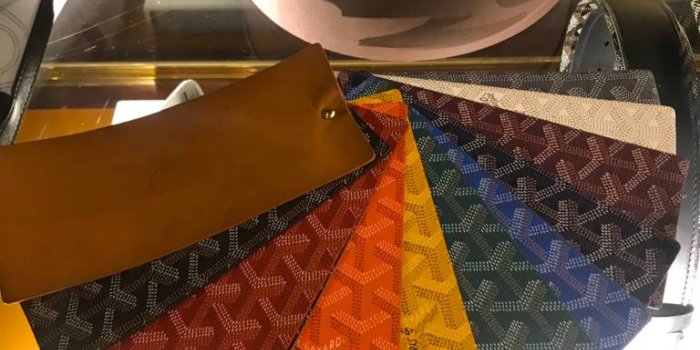 768x1024 Goyard Tote Battle: Artois Takes on Saint Louis - PurseBop