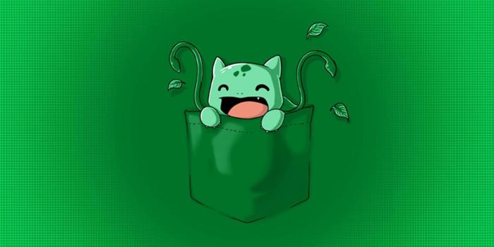 1920x1080 Bulbasaur HD Wallpapers