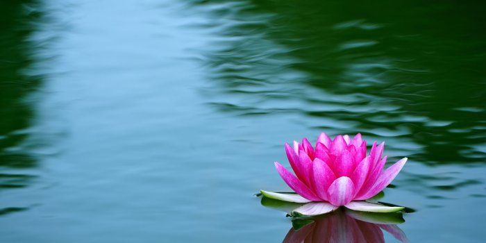 1500x1000 Print a Wallpaper