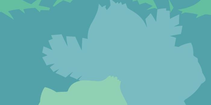 1080x1920 Bulbasaur, Ivysaur& Venusaur of Pokemon HD wallpaper download