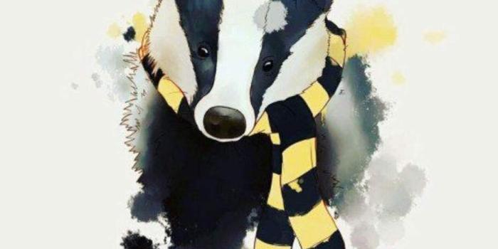 928x1024 HipnoGriff | Harry Potter Amino