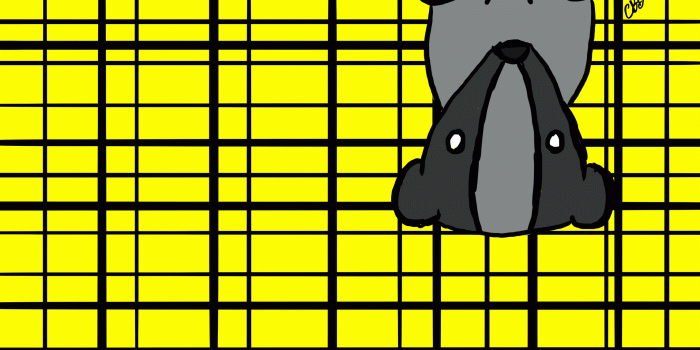 2286x1270 Hufflepuff Wallpapers - Top Free Hufflepuff Backgrounds