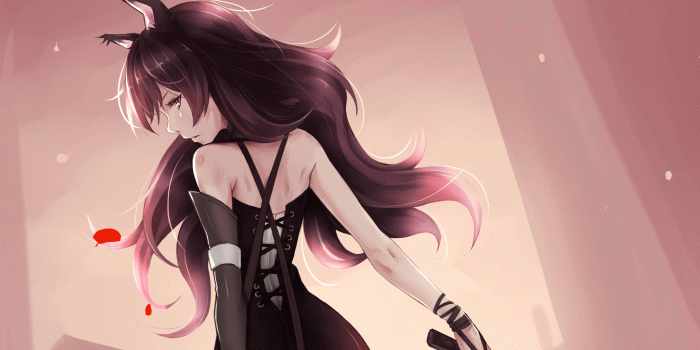 2440x1470 Stray Huntress HD Wallpaper | Background Image | 2440x1470 | ID