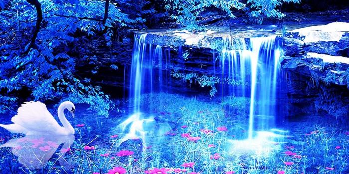 1920x1200 Beautiful Waterfalls With Flowers, Hd Wallpapers & backgrounds