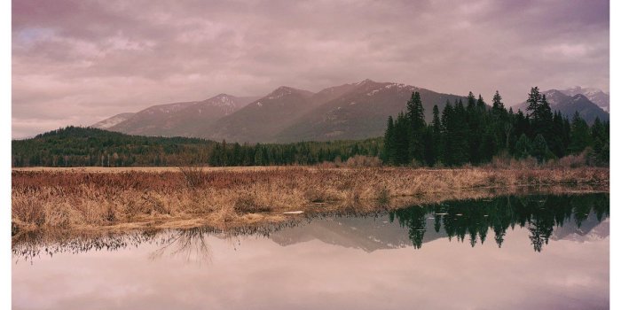 1200x1200 Sol on Twitter: 