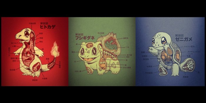 1920x1200 78+ Pokemon Starters Wallpapers on WallpaperPlay