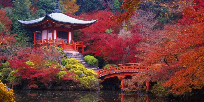 1920x1440 Daigo ji Temple in Autumn Kyoto Japan Wallpaper | Gallery