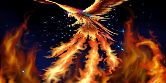 1920x1080 Best Dark Phoenix Wallpaper HD | 2019 Live Wallpaper HD