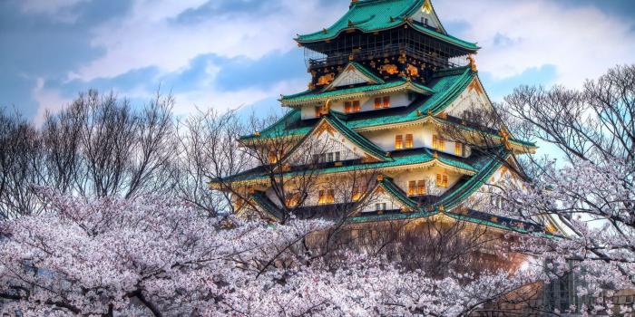 1920x1080 46+] Japanese Castle Desktop Wallpapers on WallpaperSafari