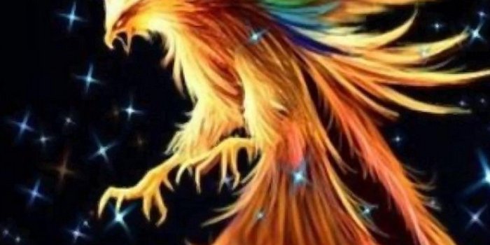 1080x1920 Wallpapers Phone Dark Phoenix - 2019 Android Wallpapers