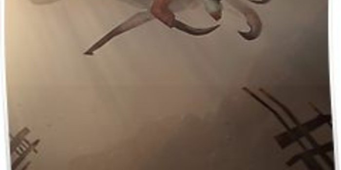 2000x2988 37774321 Subnautica faune 2