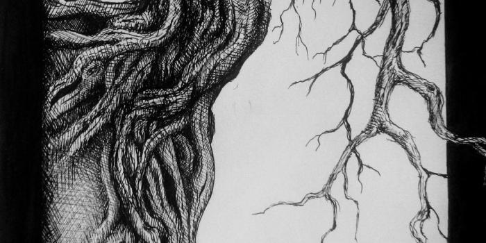 1024x1511 Psychology Wallpapers High Quality | Download Free