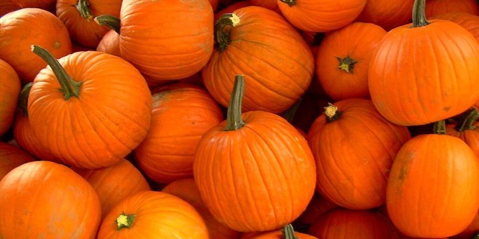 1024x768 Gluten Free Halloween Candy Ideas