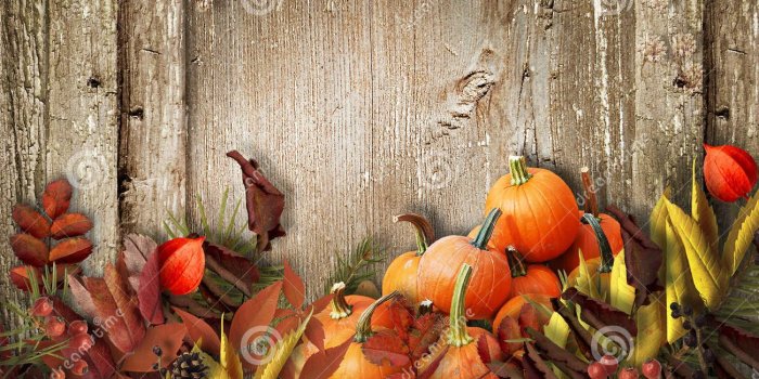 1300x1009 Halloween Candy Candy Wallpapers Halloween Wallpaper 1300x1009