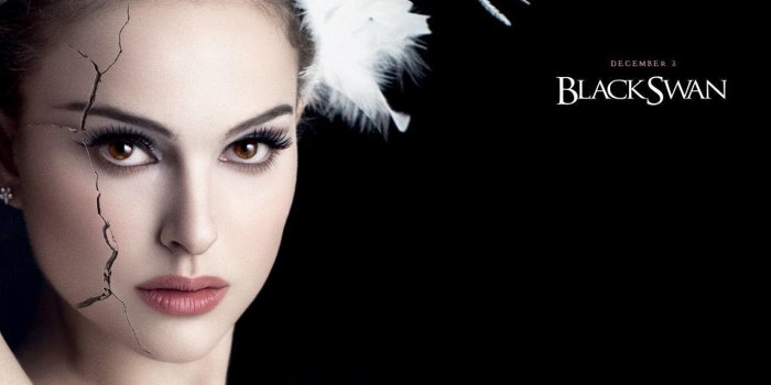 1280x1024 Black Swan Wallpapers