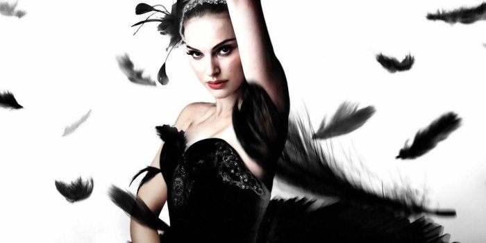 1680x1050 Black Swan Wallpapers