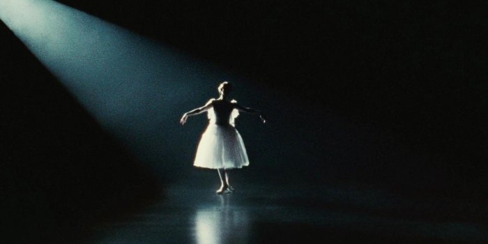 1920x1080 Black Swan Wallpapers