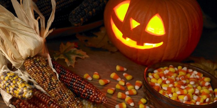 1920x1080 View Funny Halloween Wallpapers , - Pumpkin And Candy Corn