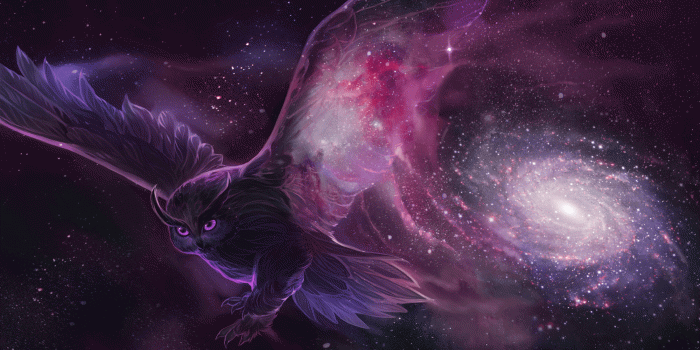 2000x1124 25+ Owl Wallpapers, Backgrounds, Images,Pictures | Design Trends