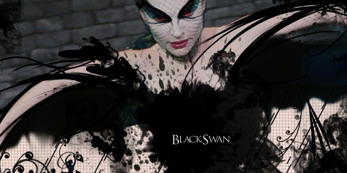 1920x1200 Black Swan Wallpapers