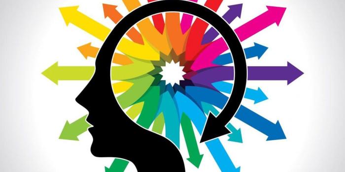 1300x867 Psychology Wallpapers High Quality | Download Free