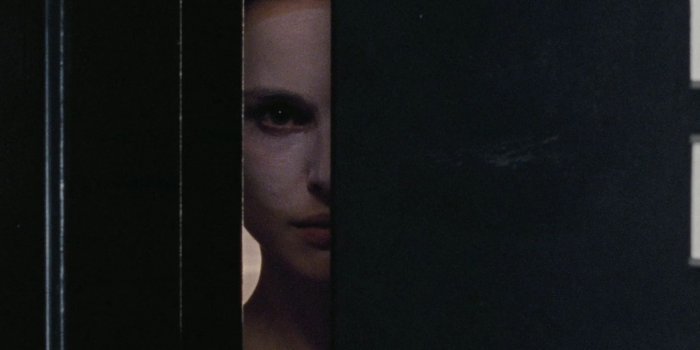 1920x1080 File: Black Swan Wallpapers-D659997.jpg | WallpapersExpert.com