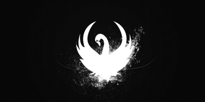 1920x1080 black, minimalistic, white, grunge, paint, swans, justice, Black