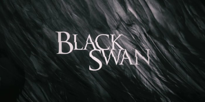 1920x1080 Black Swan Movie 9771 1920x1080px
