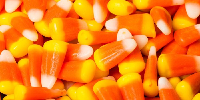 1536x1017 Candy corn wallpaper Gallery