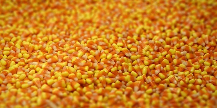 1920x1080 Tell us about your Halloween candy preferences, and other things