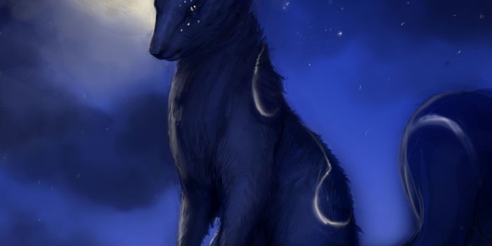2419x2671 pokemon umbreon 2419x2671 wallpaper High Quality Wallpapers,High