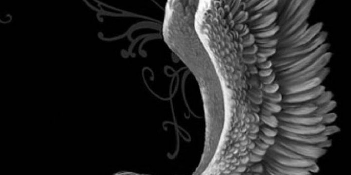 720x1280 Fallen Angel Wallpaper by kayla789 - 7d - Free on ZEDGE™