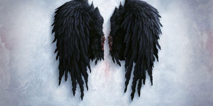 1920x1200 16780 black angel wallpaper