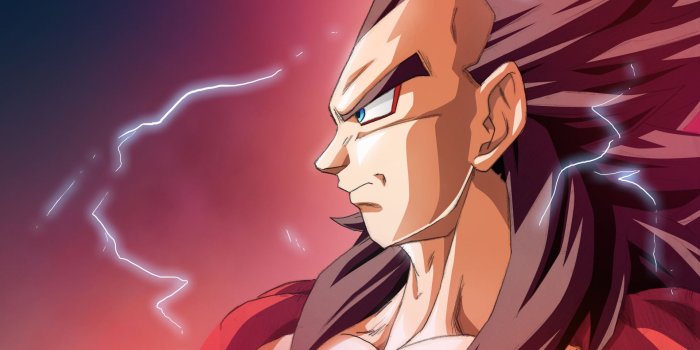 1920x1213 Ssj4 Vegeta Wallpaper (61+ images)