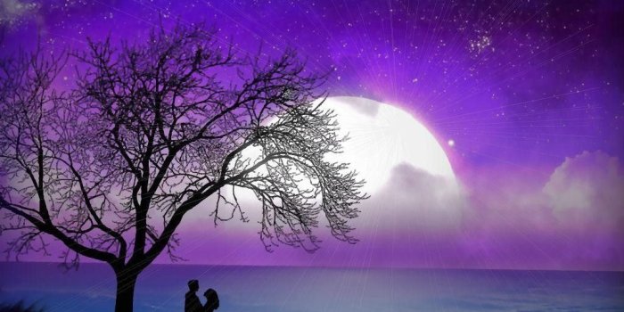 1024x768 49+] Most Romantic Wallpapers on WallpaperSafari