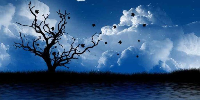1024x819 Most Romantic Wallpapers - Top Free Most Romantic Backgrounds