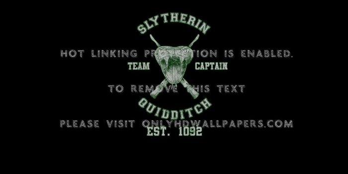 1366x768 harry potter Quidditch Hogwarts