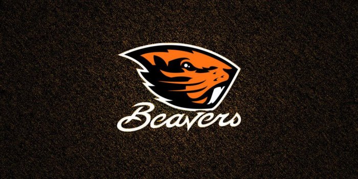 1024x1024 50+ Oregon State University Wallpapers - Download at WallpaperBro